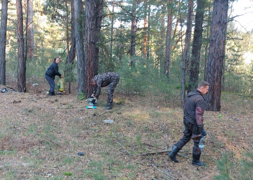 Сотрудники МТУ Ространснадзора по СФО приняли участие во Всероссийском субботнике «Зеленая Россия»